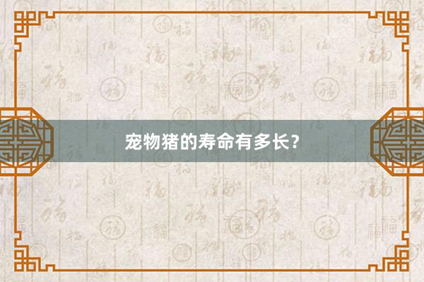 宠物猪的寿命有多长？